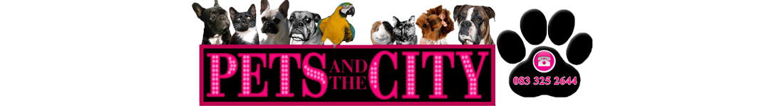 pets-and-the-city